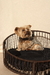 Cama4 - comprar online