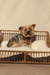 Cama 3 - comprar online