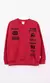 BUZO JR RACE - comprar online