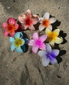 Clips Florales Hawaianos – Tropicoqueta