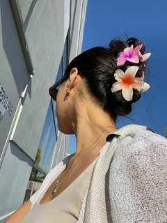 Imagen de Clips Florales Hawaianos – Tropicoqueta