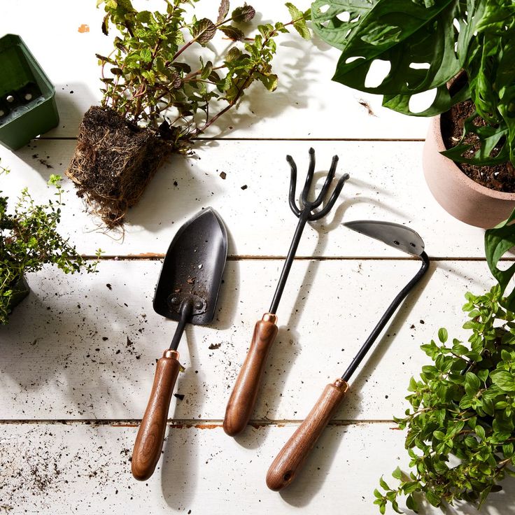 Jardinería 