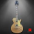 Guitarra Les Paul SX Standard - Goldtop Darkback - loja online