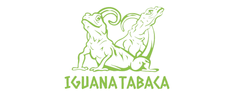 Iguana Tabaca