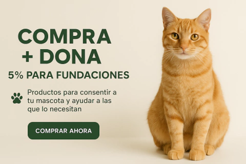 Banner de Limonestore13