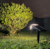 luminaria solar externa,
lampada solar externa,
luminaria solar jardim,
luminaria de jardim solar,
luminária solar externa,
luminaria jardim solar
luminária de jardim solar,
luminária para jardim solar,
lampada externa solar,
luminaria solar para jardim