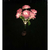 luminaria solar externa,
lampada solar externa,
luminaria solar jardim,
luminaria de jardim solar,
luminária solar externa,
luminaria jardim solar
luminária de jardim solar,
luminária para jardim solar,
lampada externa solar,
luminaria solar para jardim