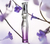 Set Perfume + Desodorante + Body Lotion GAIA Yanbal - tienda en línea