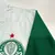 CAMISA ESPORTIVA PALMEIRAS na internet