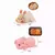Luminaria de silicone bichinhos fofinhos - luz LED