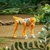Transformers Rise of the Beasts Cheetor F4599 Hasbro - comprar online