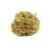 Esponja Dorada 12 Gr (x 24) - comprar online
