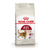 Royal Canin Fit - comprar online
