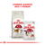 Royal Canin Fit - Leocan