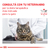 12 x Royal Canin Pouch Urinary Gato