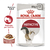 12 x Royal Canin Pouch Instinctive en internet