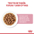 Imagen de 12 x Royal Canin Pouch Kitten