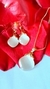 Conjunto Colar e Brincos Pedra da Lua Banhados à Ouro 18k - loja online