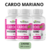 Cardo Mariano Detox – Cápsulas Naturais para Fígado Limpo e Corpo Leve - NutriCaps Brasil