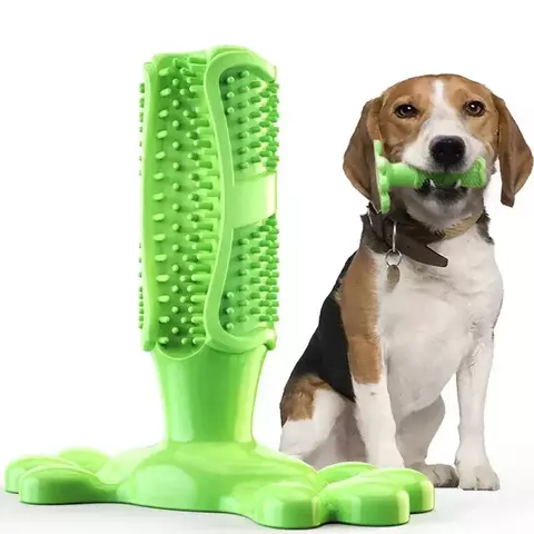 Cacto Mordedor para Cães – Brinquedo de Borracha Anti-Ansiedade e Super Resistente - comprar online