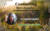 Counseling online o presencial