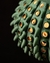 Pendente Barnacle na internet