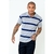 Camiseta Gola Polo Zek Masculina Listrada Slim - Mescla - comprar online