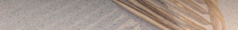 Banner de la categoría Aretes