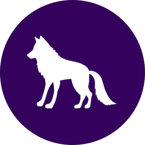 Marca 3 de Belizário Imports