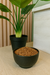 Semillas de Lino x 250g - comprar online