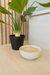 Jengibre Molido x 100g - comprar online