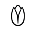 almacenpistacho.com.ar favicon