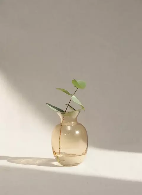 Vasinho Aurora 2 - comprar online