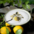 Jogo C/ 6 Pratos De Sobremesa Bio Lemon Porto Brasil - Casa Varanda