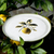 Jogo C/ 6 Pratos Raso Bio Lemon Porto Brasil - comprar online