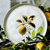 Jogo C/ 6 Pratos Raso Bio Lemon Porto Brasil - Casa Varanda