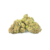 Kiwi Mint – Híbrida | Greenhouse - comprar en línea