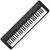 Teclado Casio Casiotone CT-S1 Negro Con Adaptador - comprar en línea