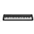 Teclado Casio Casiotone CT-S1 Negro Con Adaptador - Arca Sound