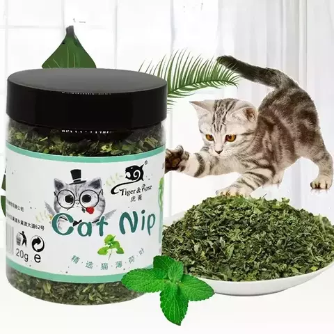 Erva-de-Gato Orgânica 100% Certificada – Pura, Segura e Potente