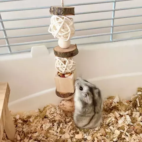 Brinquedo em Forma de Urso com Corda para Roedores