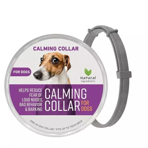 Coleira calmante para cães - comprar online
