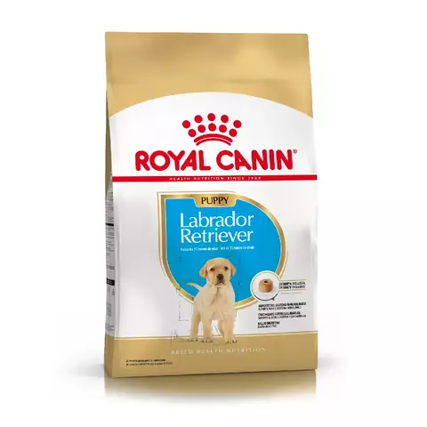Royal Labrador Retriever Cachorro - comprar online