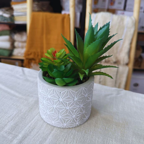 Planta decorativa con maceta de cerámica rústica