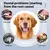 Imagem do Removedor de Tártaro Ultrassônico para Pets – Cuidados Dentários Seguros e Eficientes