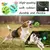 Bola Interativa para Cães – Resistente, Segura e Multifuncional - loja online