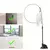 PegaPena – Vara Interativa com Ventosa e Pena Flexível para Gatos - comprar online