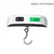 Imagem do Balança portátil display digital lcd 110lb/50kg bagagem eletrônica suspensa m