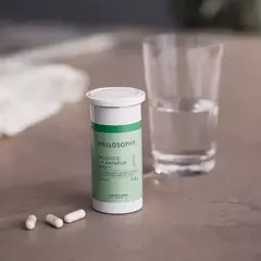 Probióticos Suplemneto alimenticio con L. plantarum 299V en internet