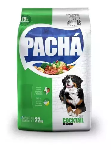 PACHA PERROS ADULTOS